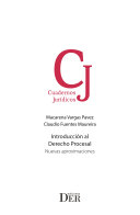 Introduccion al Derecho Procesal: Nuevas aproximaciones
