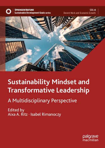 Sustainability Mindset and Transformative Leadership: A Multidisciplinary Perspective (Sustainable Development Goals Series)