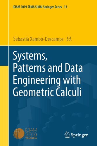 Systems, Patterns and Data Engineering with Geometric Calculi: Proceedings of a Mini-Symposium held at ICIAM-2019 (SEMA SIMAI Springer Series, 13)
