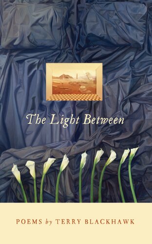 The Light Between (Made in Michigan Writer Series)