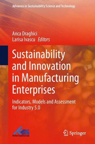 Sustainability and Innovation in Manufacturing Enterprises: Indicators, Models and Assessment for Industry 5.0 (Advances in Sustainability Science and Technology)