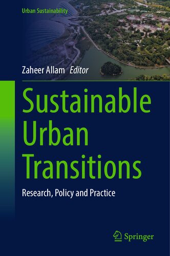 Sustainable Urban Transitions: Research, Policy and Practice (Urban Sustainability)