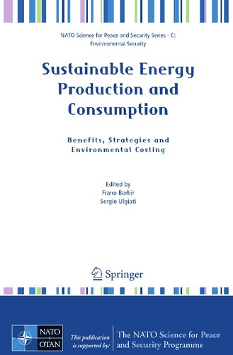 Sustainable Energy Production and Consumption: Benefits, Strategies and Environmental Costing (NATO Science for Peace and Security Series C: Environmental Security)