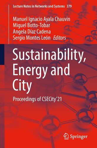 Sustainability, Energy and City: Proceedings of CSECity’21 (Lecture Notes in Networks and Systems)