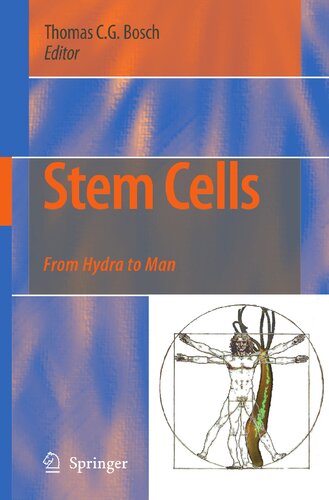 Stem Cells: From Hydra to Man