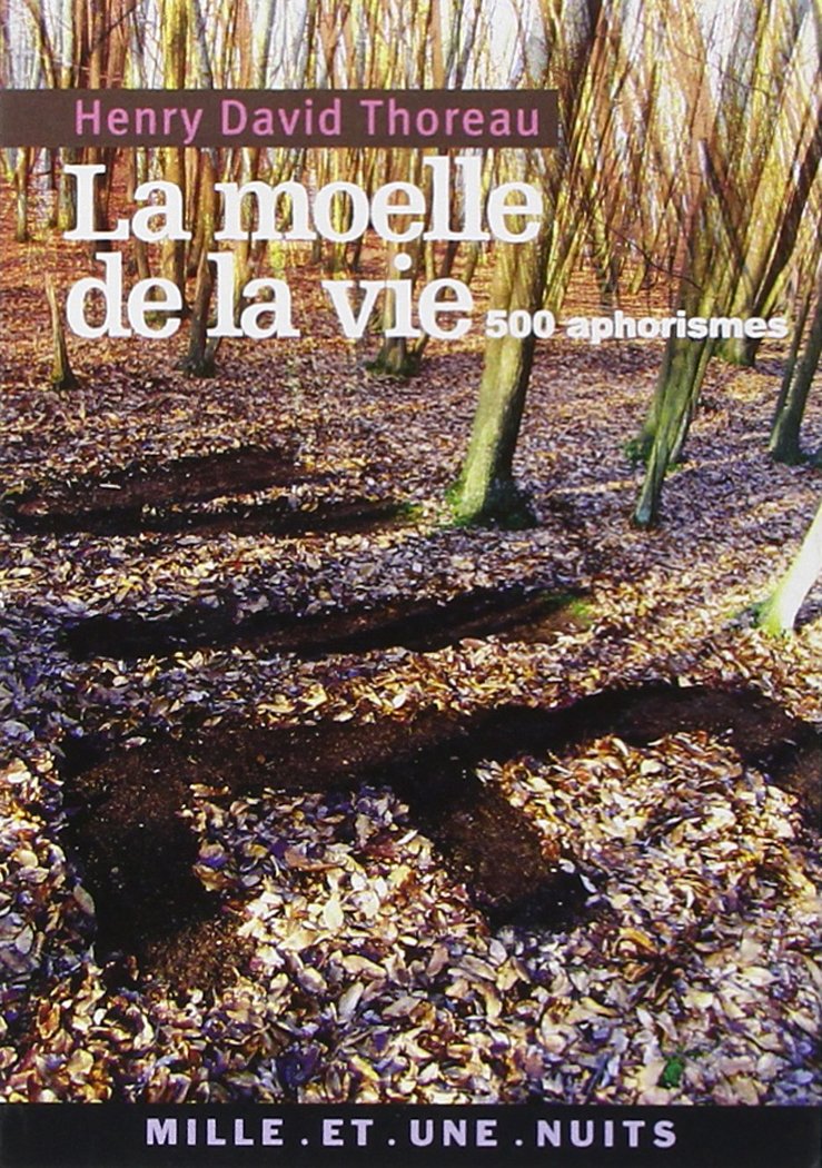 La Moelle de la vie : 500 Aphorismes