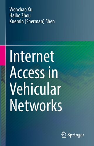 Internet Access in Vehicular Networks
