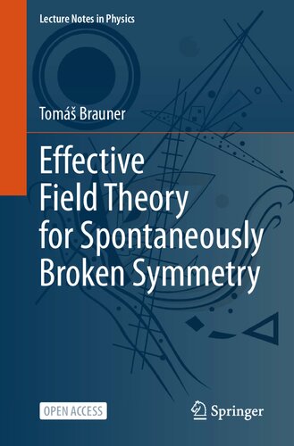 Effective Field Theory for Spontaneously Broken Symmetry