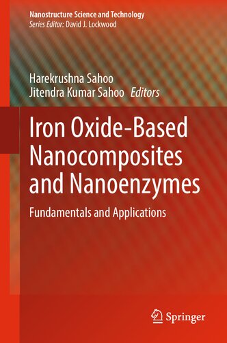 Iron Oxide-Based Nanocomposites and Nanoenzymes: Fundamentals and Applications (Nanostructure Science and Technology)