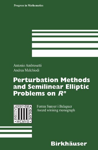 Perturbation Methods and Semilinear Elliptic Problems on R^n