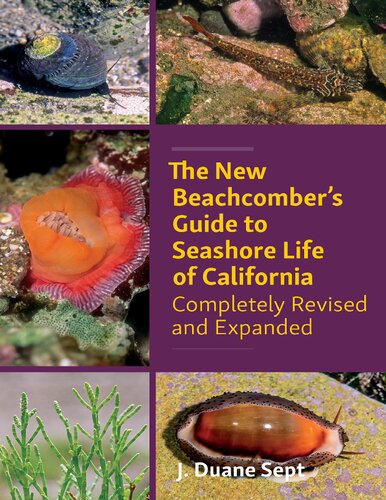 The New Beachcomber’s Guide to Seashore Life of California