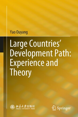 Large Countries’ Development Path: Experience and Theory