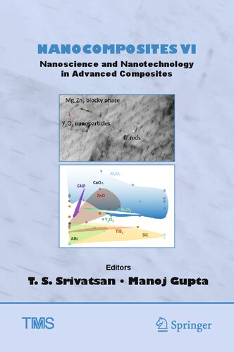 Nanocomposites VI: Nanoscience and Nanotechnology in Advanced Composites (The Minerals, Metals & Materials Series)