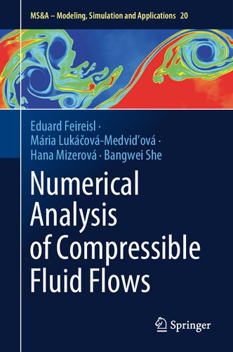 Numerical Analysis of Compressible Fluid Flows (MS&A, 20)