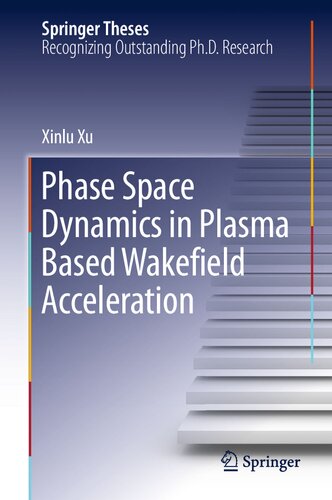 Phase Space Dynamics in Plasma Based Wakefield Acceleration (Springer Theses)