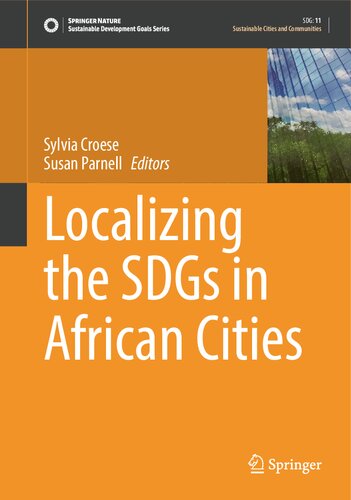 Localizing the SDGs in African Cities (Sustainable Development Goals Series)