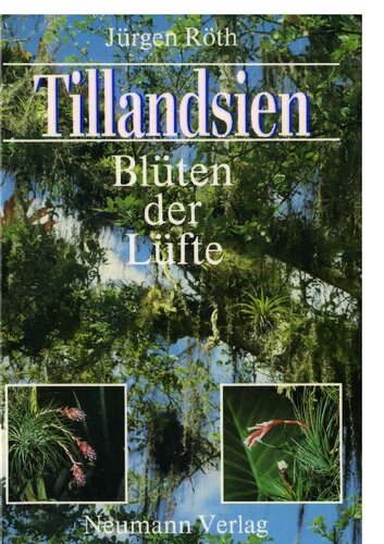 Tillandsien: Blüten der Lüfte
