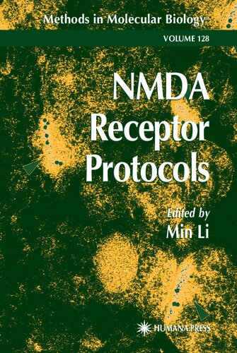 NMDA Receptor Protocols (Methods in Molecular Biology, 128)