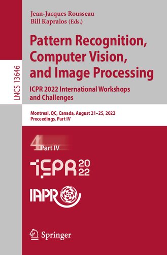 Pattern Recognition, Computer Vision, and Image Processing. ICPR 2022 International Workshops and Challenges: Montreal, QC, Canada, August 21–25, ... Part IV (Lecture Notes in Computer Science)