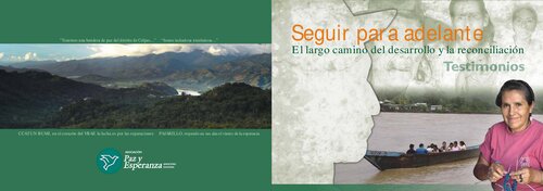 Seguir para adelante : El largo camino del desarrollo y la reconciliación. Testimonios (Huánuco, Ayacucho, San Martín, Lima)