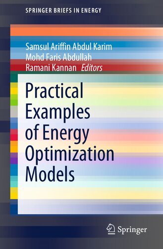 Practical Examples of Energy Optimization Models (SpringerBriefs in Energy)