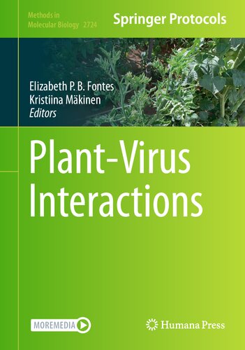 Plant-Virus Interactions (Methods in Molecular Biology, 2724)