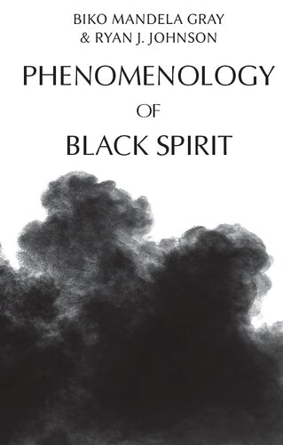 Phenomenology of Black Spirit