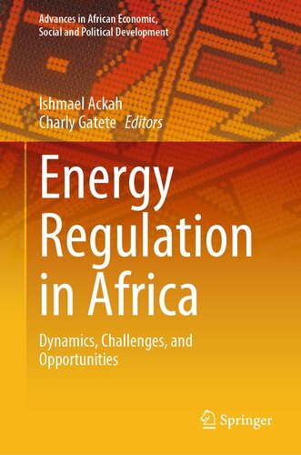 Energy Regulation in Africa: Dynamics, Challenges, and Opportunities (Advances in African Economic, Social and Political Development)