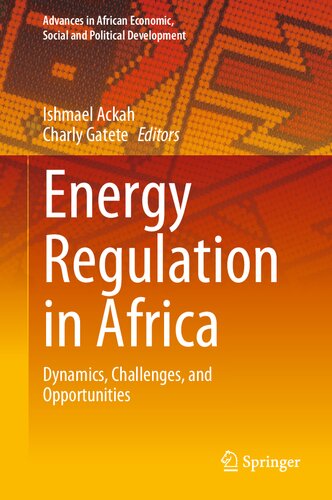 Energy Regulation in Africa: Dynamics, Challenges, and Opportunities (Advances in African Economic, Social and Political Development)