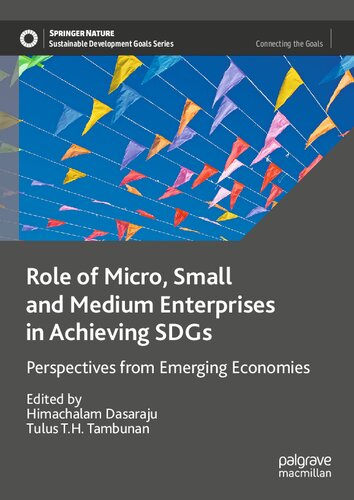 Role of Micro, Small and Medium Enterprises in Achieving SDGs: Perspectives from Emerging Economies (Sustainable Development Goals Series)