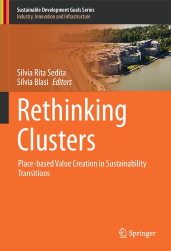 Rethinking Clusters: Place-based Value Creation in Sustainability Transitions (Sustainable Development Goals Series)