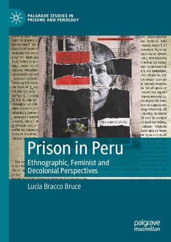 Prison in Peru: Ethnographic, Feminist and Decolonial Perspectives (Palgrave Studies in Prisons and Penology)