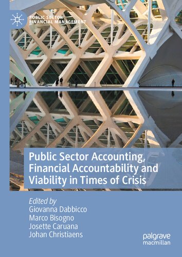 Public Sector Accounting, Financial Accountability and Viability in Times of Crisis (Public Sector Financial Management)