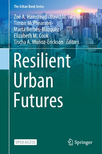 Resilient Urban Futures (The Urban Book Series)