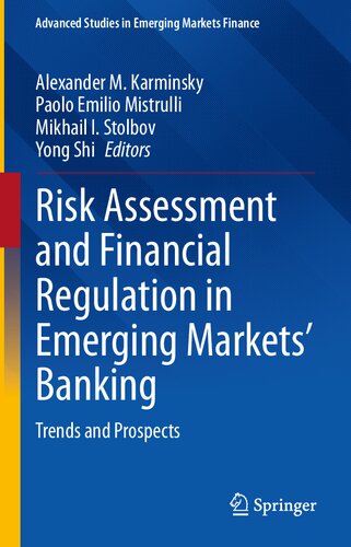 Risk Assessment and Financial Regulation in Emerging Markets' Banking: Trends and Prospects (Advanced Studies in Emerging Markets Finance)