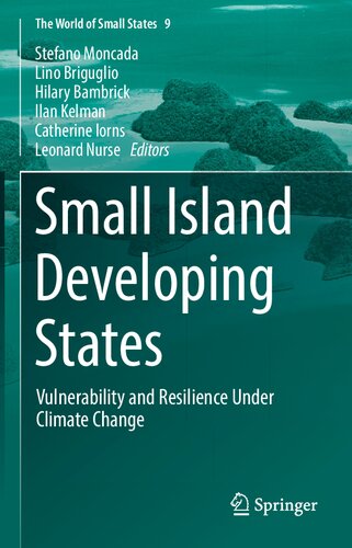 Small Island Developing States: Vulnerability and Resilience Under Climate Change (The World of Small States, 9)