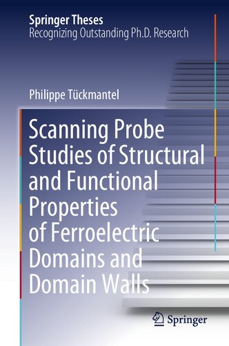 Scanning Probe Studies of Structural and Functional Properties of Ferroelectric Domains and Domain Walls (Springer Theses)