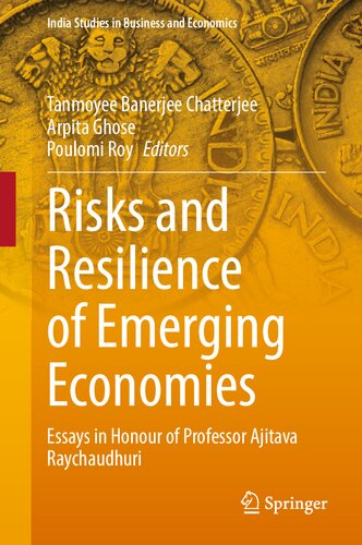 Risks and Resilience of Emerging Economies: Essays in Honour of Professor Ajitava Raychaudhuri (India Studies in Business and Economics)