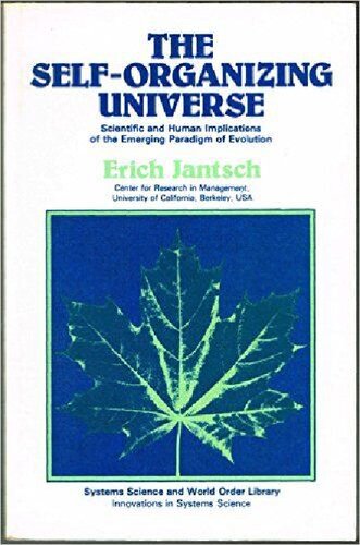 The Self-Organizing Universe: Scientific and Human Implications for the Emerging Paradigm of Evolution