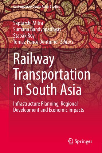 Railway Transportation in South Asia: Infrastructure Planning, Regional Development and Economic Impacts (Contemporary South Asian Studies)