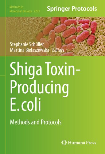 Shiga Toxin-Producing E. coli: Methods and Protocols (Methods in Molecular Biology, 2291)