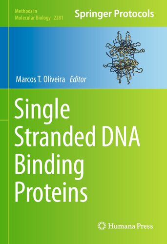 Single Stranded DNA Binding Proteins (Methods in Molecular Biology, 2281)