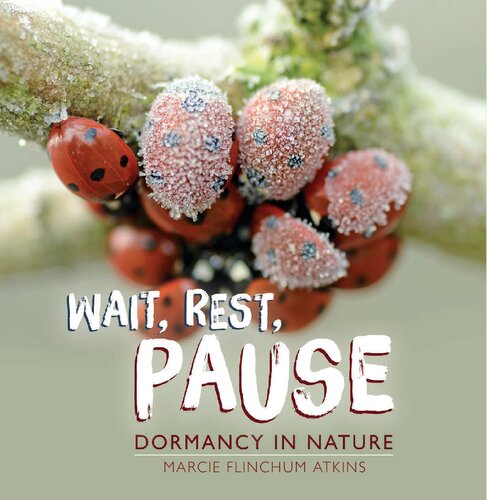 Wait, Rest, Pause : Dormancy in Nature