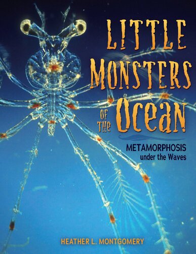 Little Monsters of the Ocean : Metamorphosis under the Waves