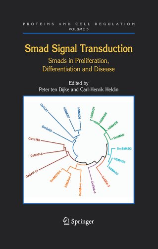 ARF Family GTPases (Proteins and Cell Regulation, 1)