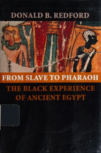 From Slave to Pharaoh: The Black Experience of Ancient Egypt