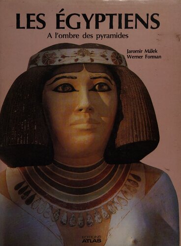 Les egyptiens: a l'ombre des pyramides