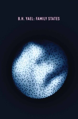 b.h. Yael: Family States