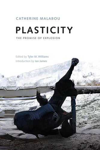 Plasticity: The Promise of Explosion