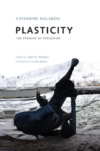 Plasticity: The Promise of Explosion